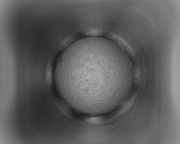 X0000102400312200808081310