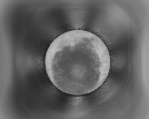 X0000102400313200808081310