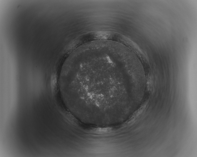 X0000102400314200808081310