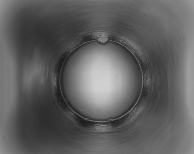 X0000102400315200808081310