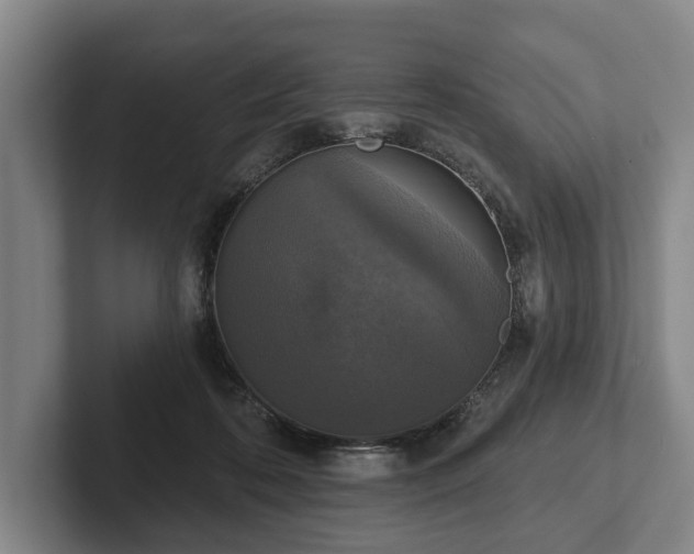 X0000102400316200808081310