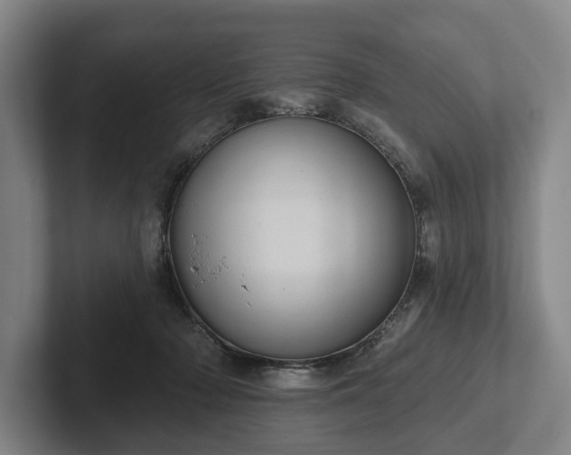 X0000102400318200808081309