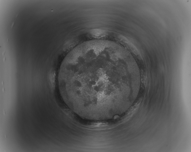 X0000102400319200808081309