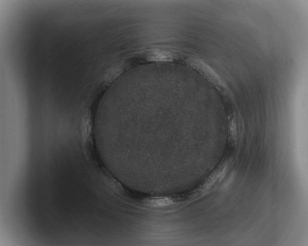 X0000102400322200808081309