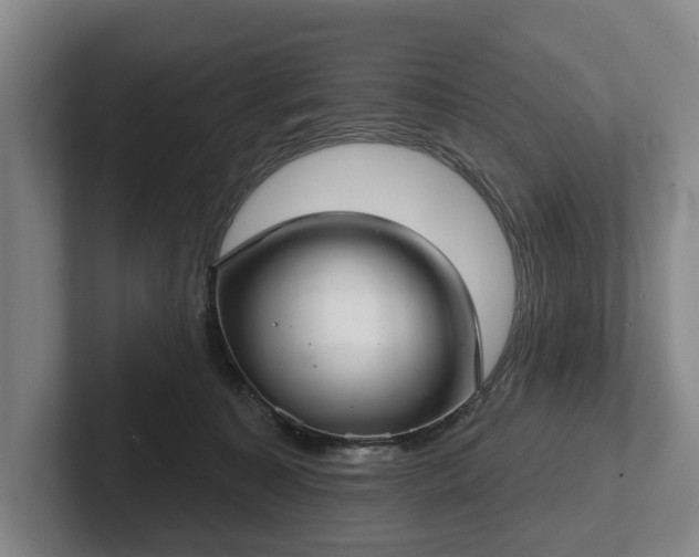 X0000102400323200808081309