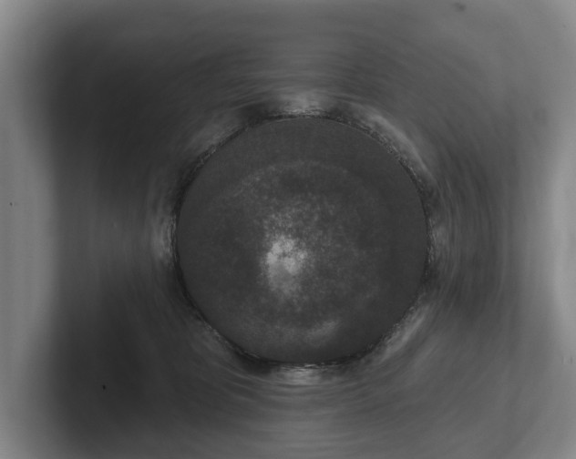 X0000102400325200808081309