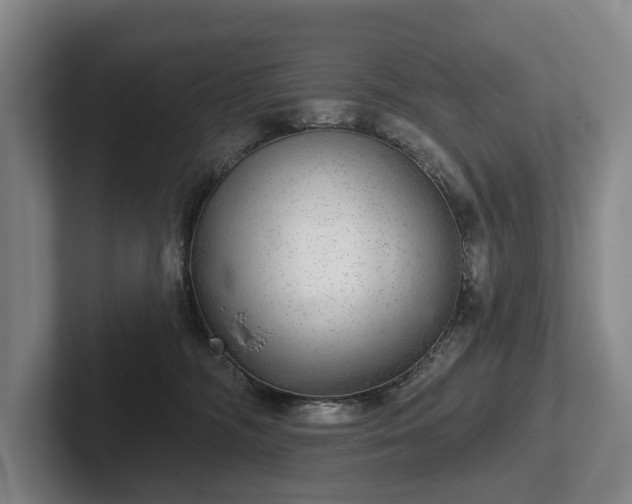 X0000102400326200808081309