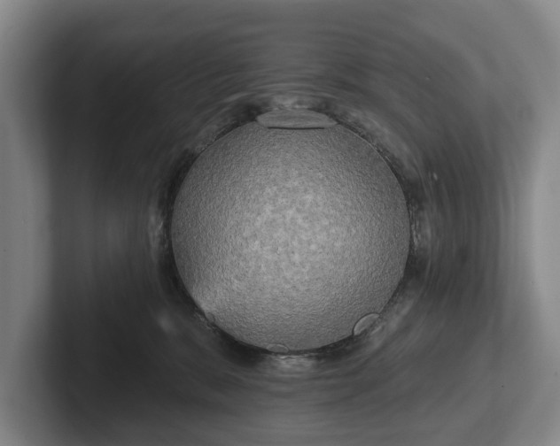 X0000102400327200808081309