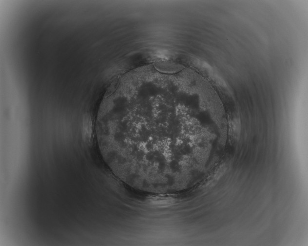 X0000102400331200808081309