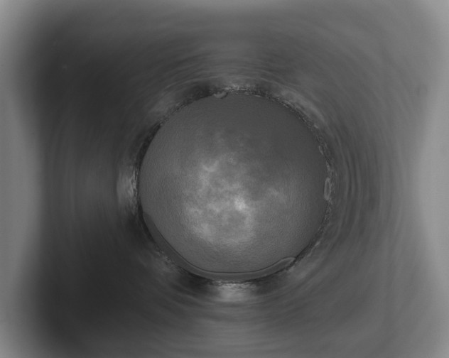 X0000102400336200808081309