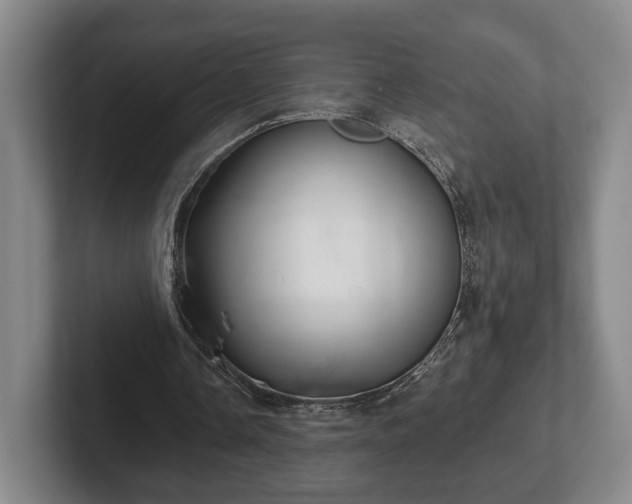 X0000102400338200808081309