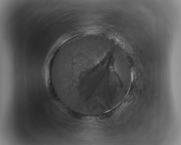 X0000102400339200808081309