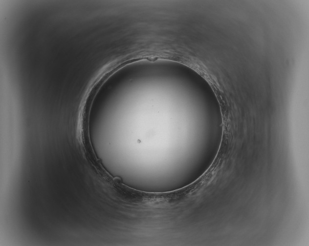 X0000102400340200808081309