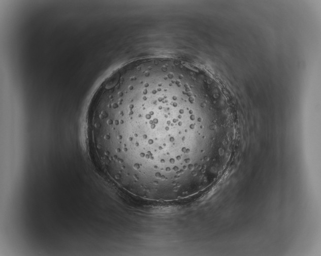 X0000102400342200808081309