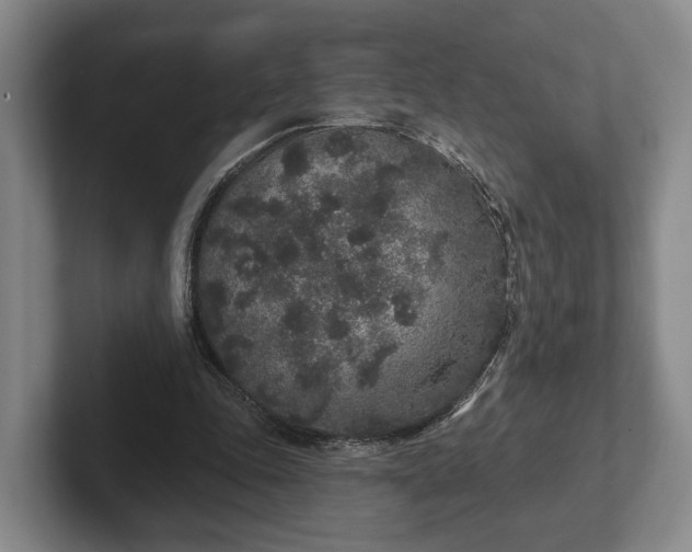 X0000102400343200808081309