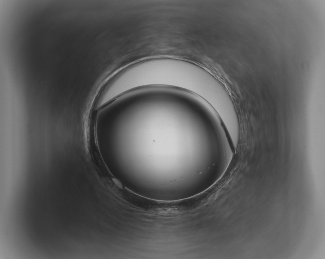 X0000102400344200808081309