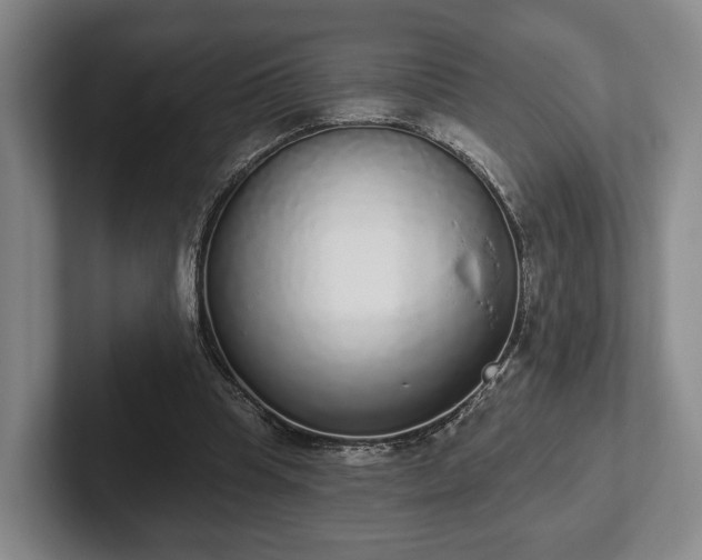 X0000102400345200808081309