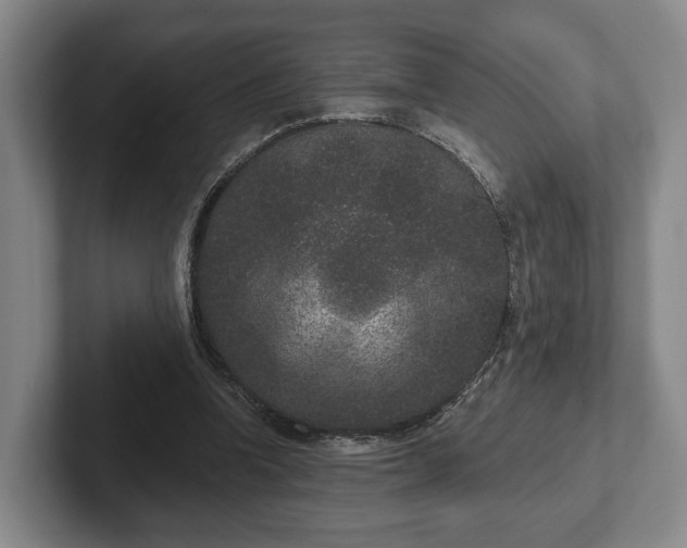 X0000102400346200808081309