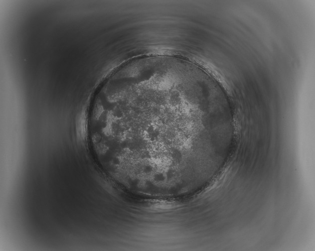 X0000102400347200808081309