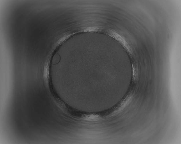 X0000102400348200808081309