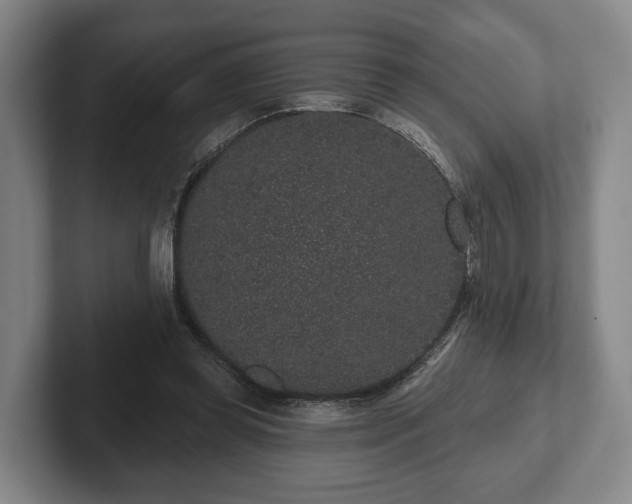 X0000102400349200808081309