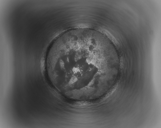 X0000102400351200808081309