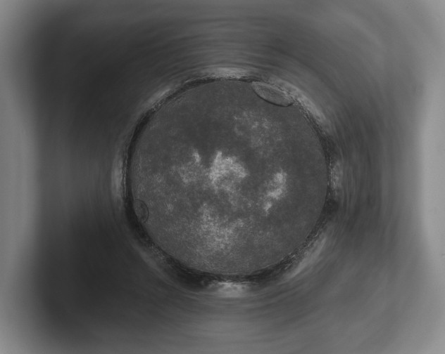 X0000102400352200808081309