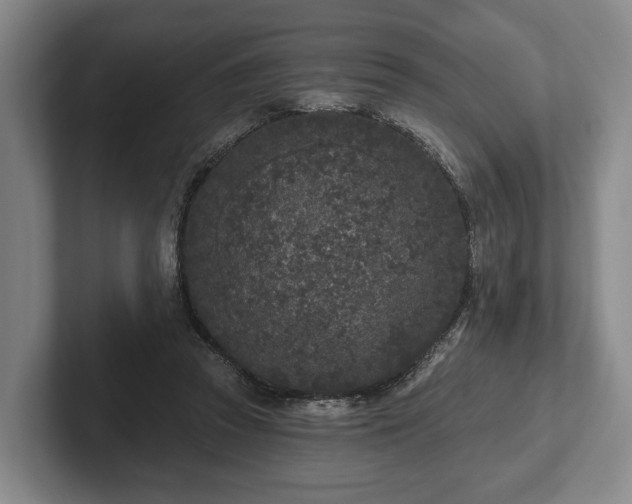 X0000102400353200808081309