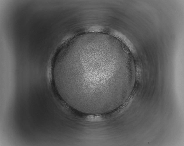 X0000102400354200808081309