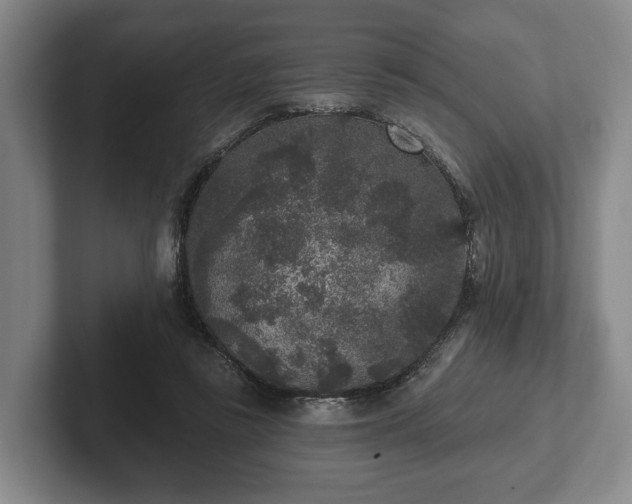 X0000102400355200808081309