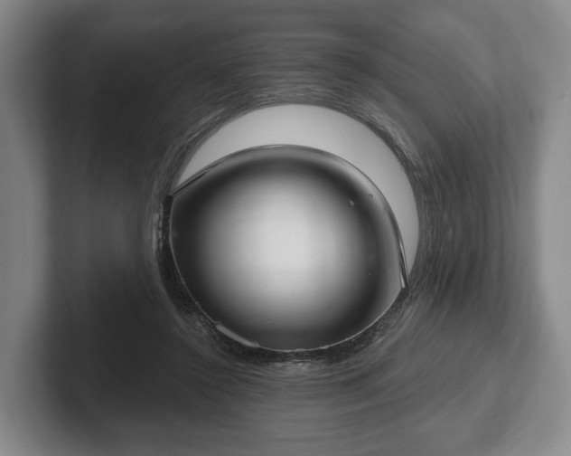 X0000102400356200808081309