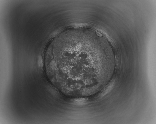 X0000102400357200808081309