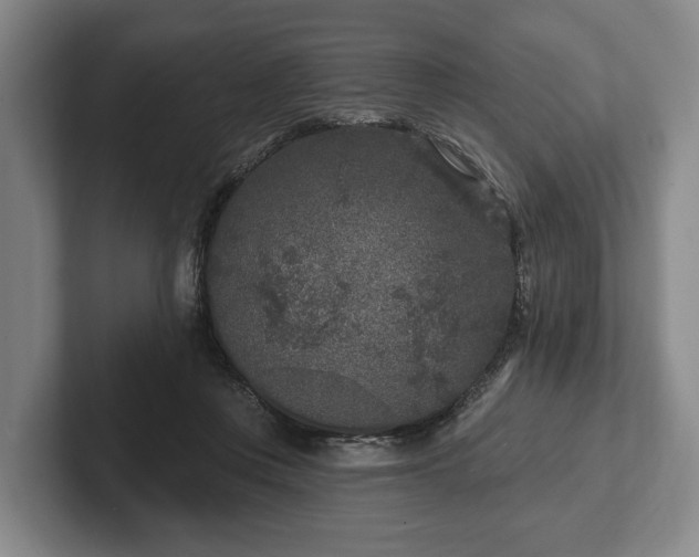 X0000102400359200808081309