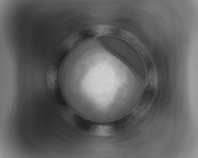 X0000102400360200808081309