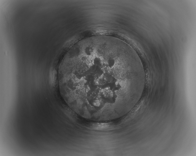 X0000102400361200808081309