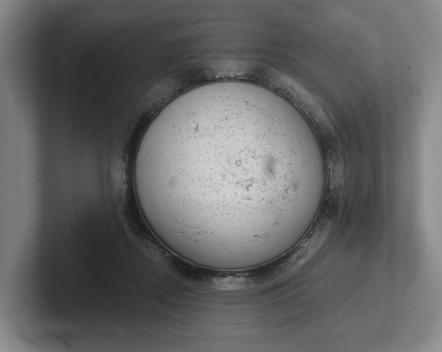 X0000102400362200808081309