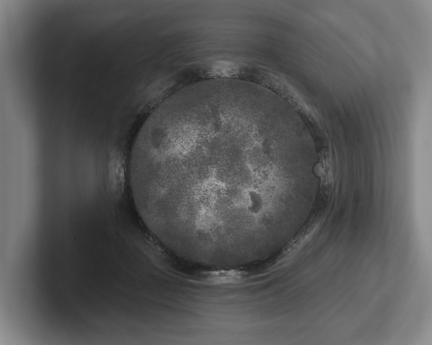 X0000102400363200808081309