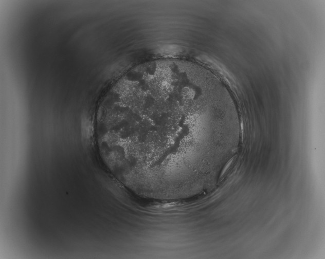 X0000102400365200808081309