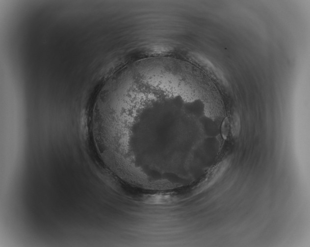 X0000102400366200808081309