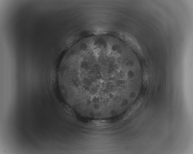 X0000102400367200808081309