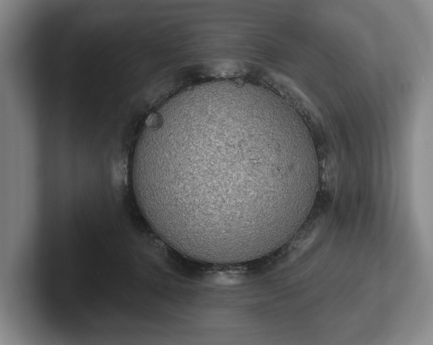 X0000102400368200808081309