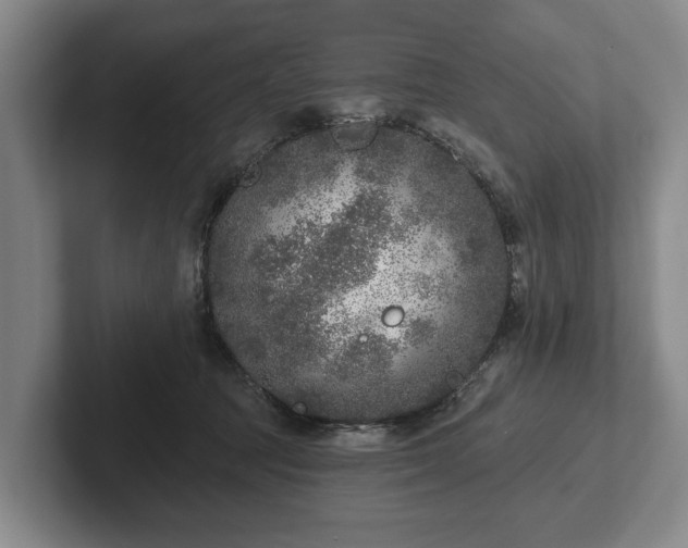 X0000102400369200808081309