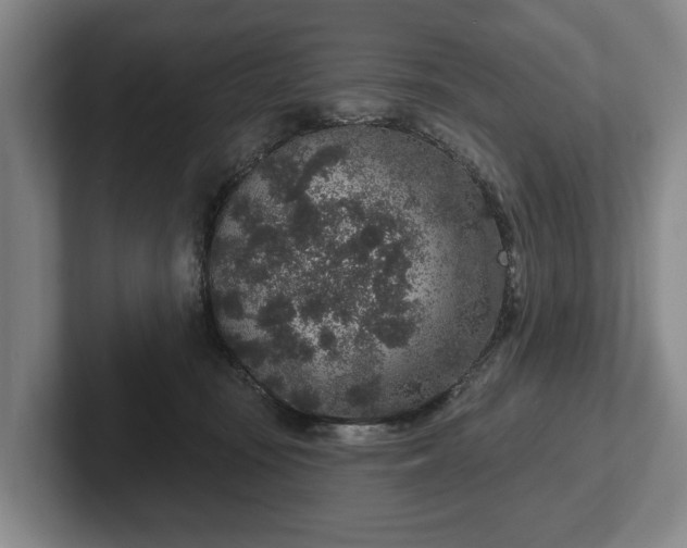 X0000102400371200808081309