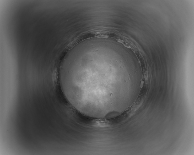 X0000102400372200808081309