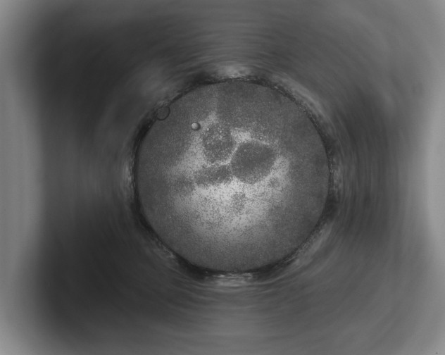 X0000102400373200808081309