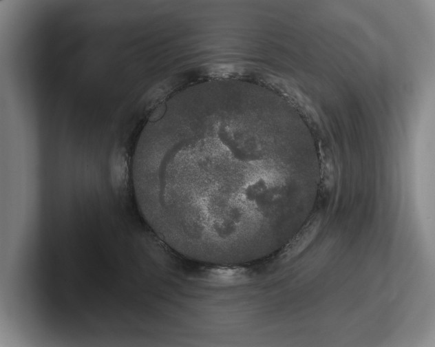 X0000102400375200808081309