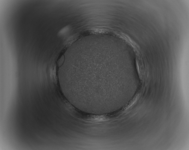 X0000102400377200808081309