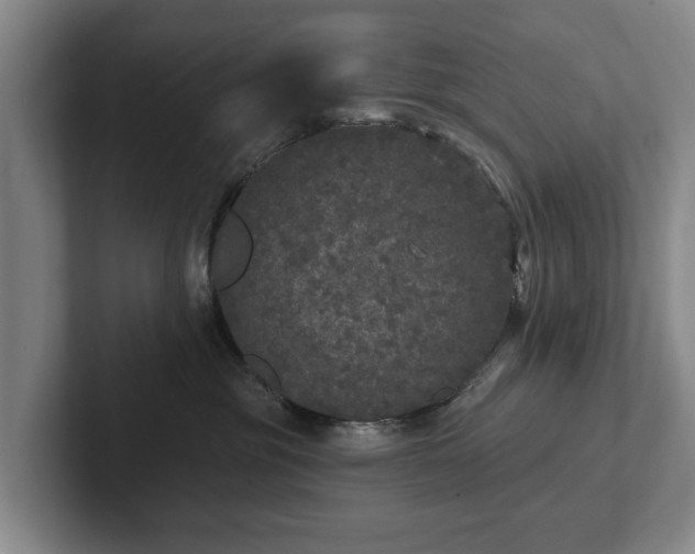 X0000102400381200808081309