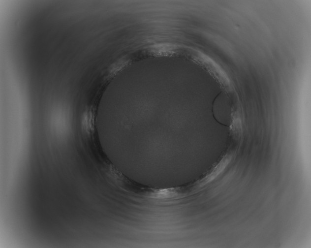 X0000102400382200808081309