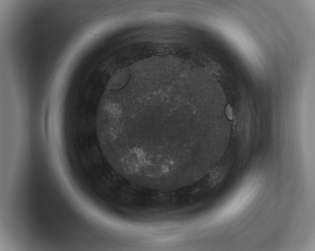 X0000102400383200808081309